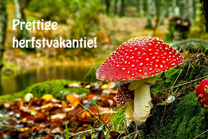 De Boskabouter