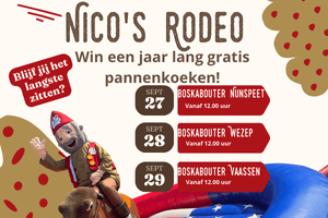 Nico's Rodeo Vaassen